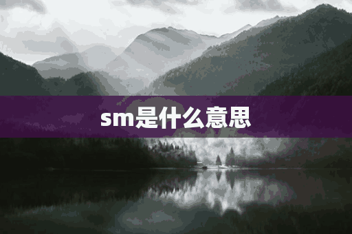 sm是什么意思